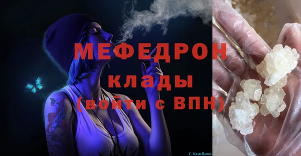 амф Снежногорск