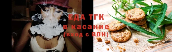 амф Снежногорск