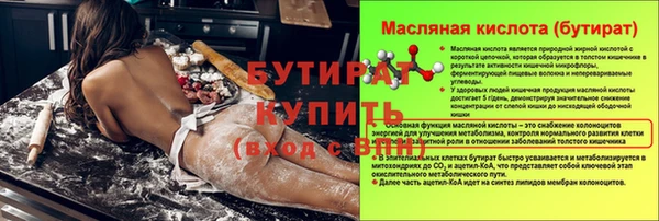 амф Снежногорск