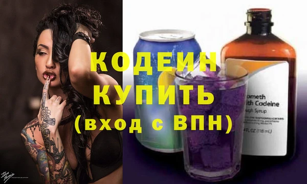 амф Снежногорск